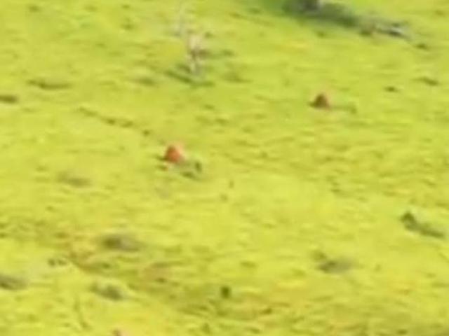 Terreno para venda em Belo Horizonte