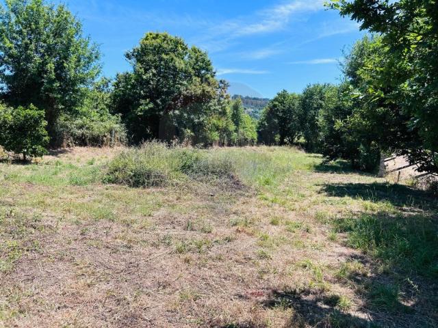 Terreno para venda em Bravães