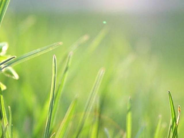 Terreno para venda em Gentileza, Betim