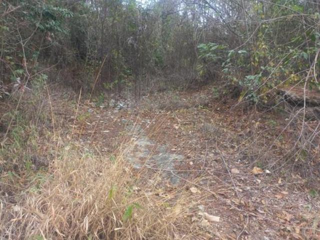 Terreno para venda em Gentileza de 2800.00m²