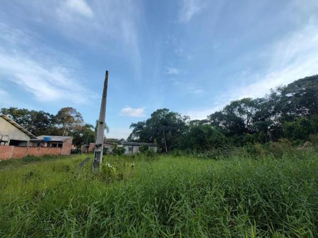 Terreno para Venda em Guaratuba, Nereidas