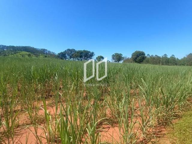Terreno para venda em Guarapiranga de 242000.00m²