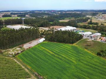 Terreno para venda em Guilhabreu