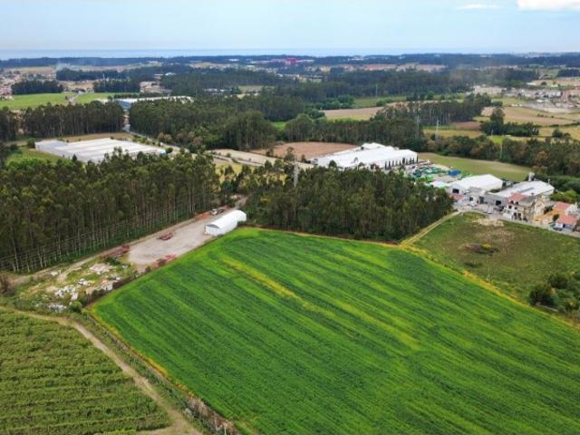 Terreno para venda em Guilhabreu