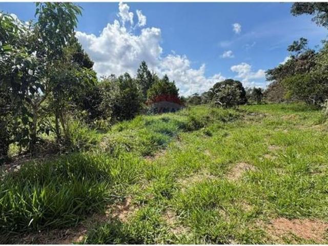 Terreno para venda em Demétria de 5059.25m²