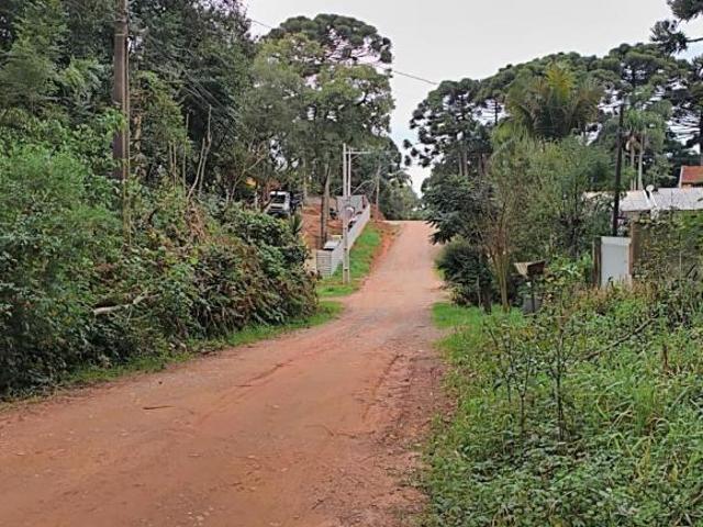 Terreno para Venda em Fazenda Rio Grande, Bosque Dom Bosco