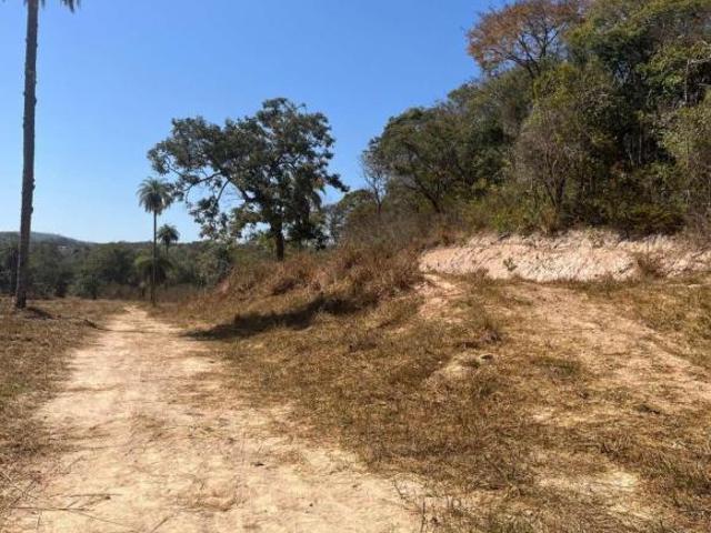 Terreno para Venda em Florestal, area rural