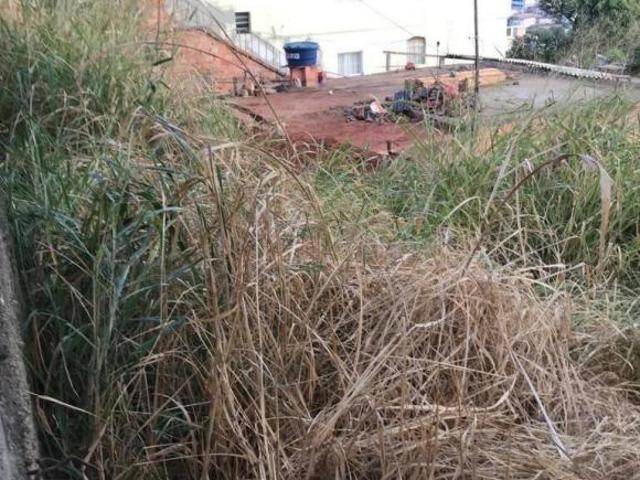 Terreno para venda em Havaí, Belo Horizonte