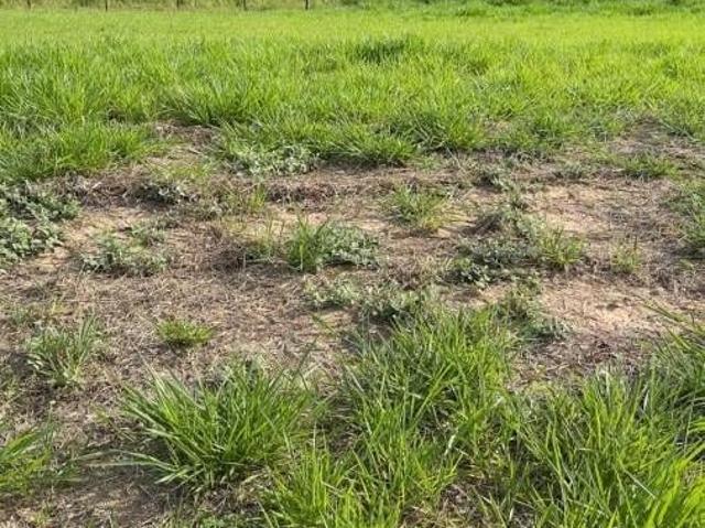 Terreno para Venda em Indaiatuba, Jardim Park Vista Real