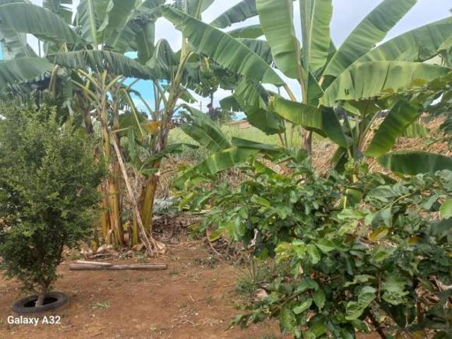 Terreno para venda em Iapu
