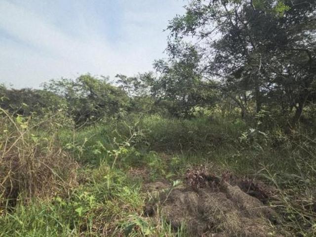 Terreno para Venda em Ibirá, Termas de Ibirá