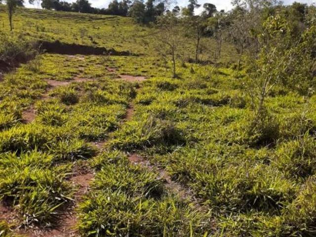 Terreno para Venda em Itaguara, Rural