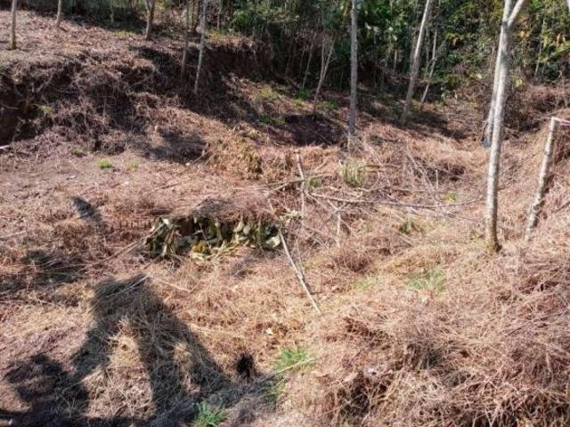 Terreno para venda em Itamonte