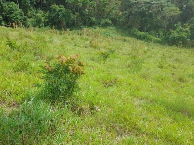 Terreno para Venda em Itapeva, Pinhalzinho
