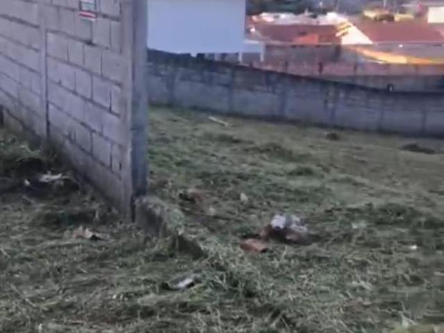 Terreno para venda em Jardim das Magnólias, Três Corações