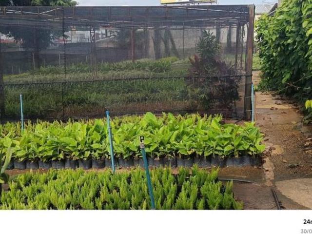 Terreno para venda em Jardim Planalto de 100.00m²