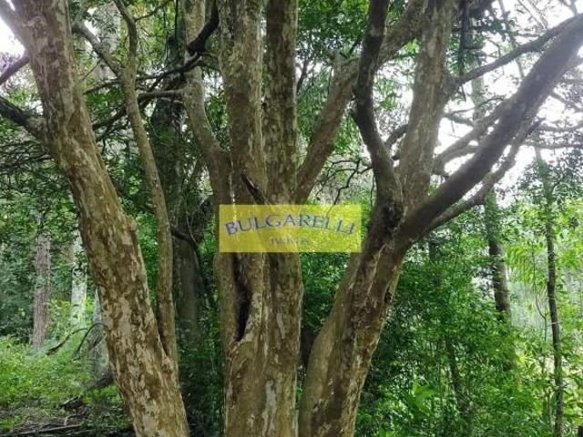 Terreno para venda em Jardim Tarumã de 134036.00m²
