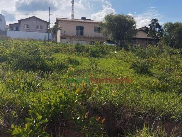 Terreno para venda em Oliveira