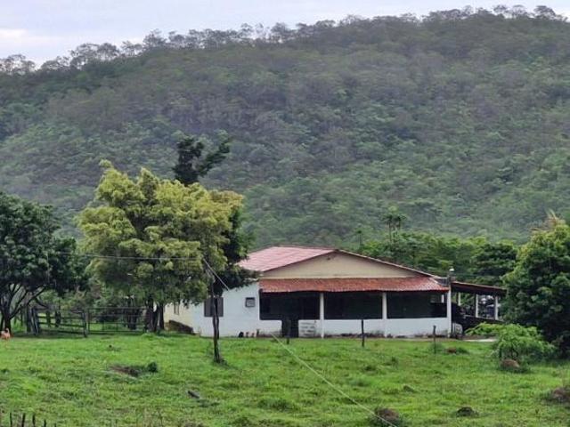 Terreno para venda em Orizona