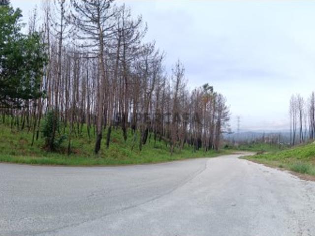 Terreno para venda em Mões Castro Daire