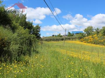 Terreno para venda em Macedo de Cavaleiros