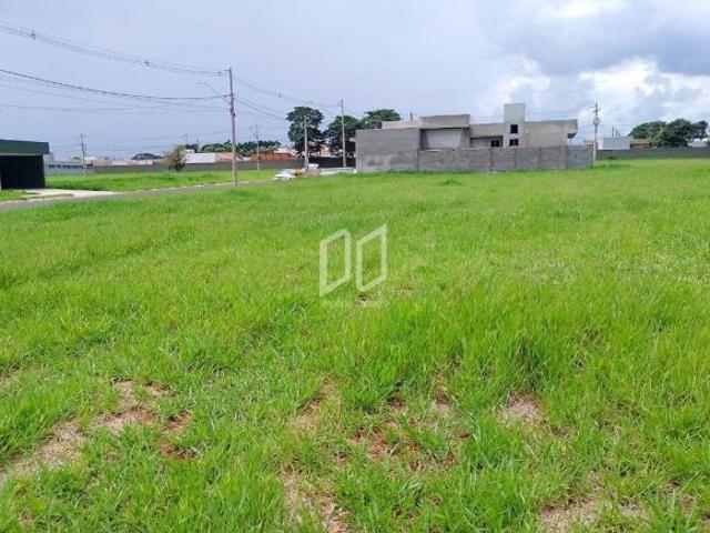 Terreno para venda em Machados de 250.00m²