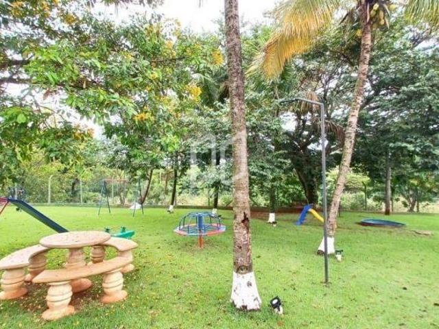 Terreno para venda em Machados de 252.00m²