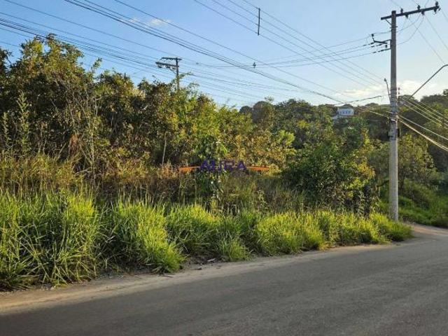 Terreno para venda em Martinho Campos de 250.00m²