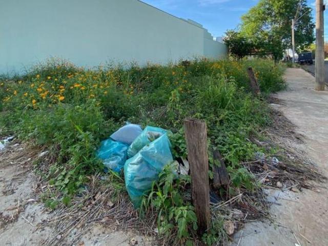 Terreno para venda em Novo Parque São Vicente de 250.00m²