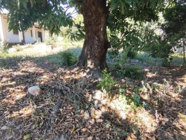 Terreno para venda em Novo Progresso, Contagem