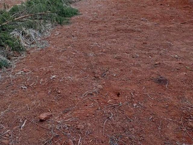 Terreno para venda em Negrinho Carrilho, Goianésia