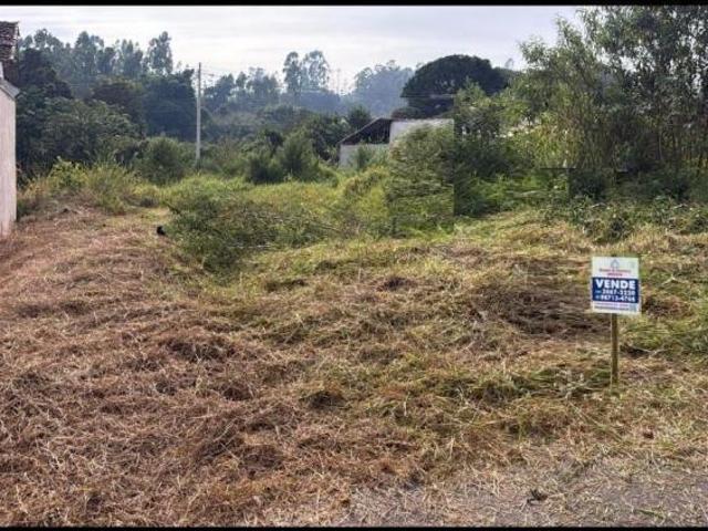 Terreno para venda em São Bento, Varginha