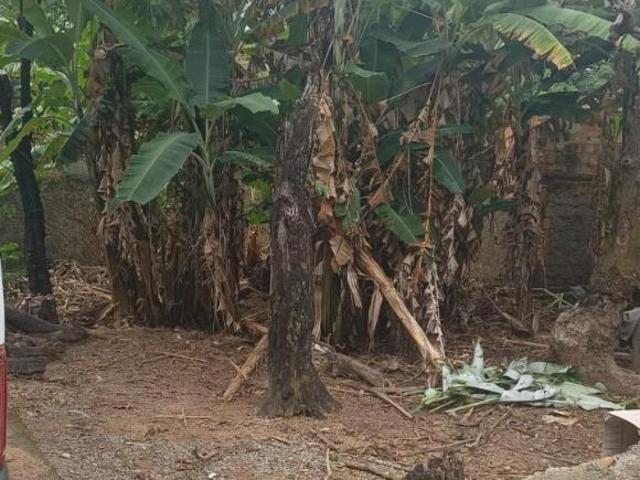 Terreno para venda em São João Batista Venda Nova, Belo Ho