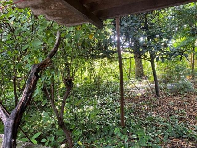 Terreno para venda em São João Batista Venda Nova, Belo Ho