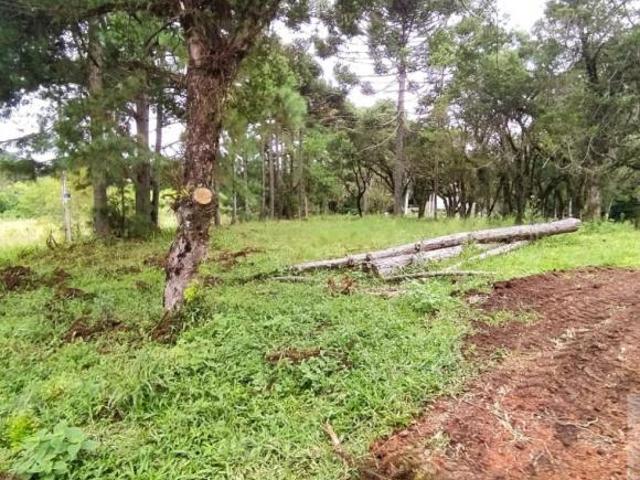 Terreno para Venda em São José dos Pinhais, Contenda, 1 dormitório