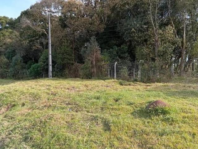 Terreno para Venda em São José dos Pinhais, Campo Largo da Roseira