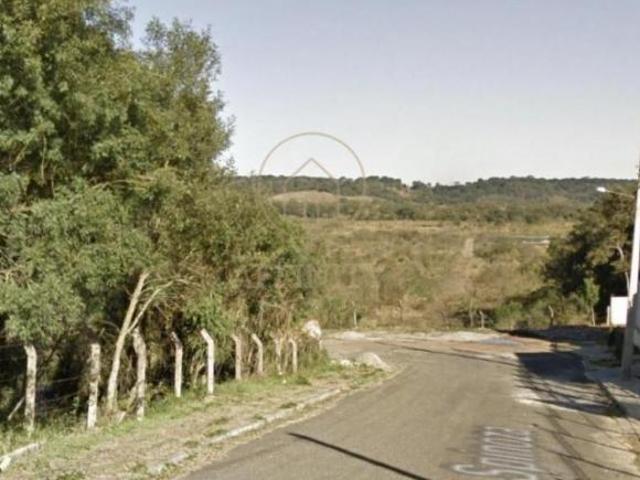 Terreno para Venda em São José dos Pinhais, Aristocrata