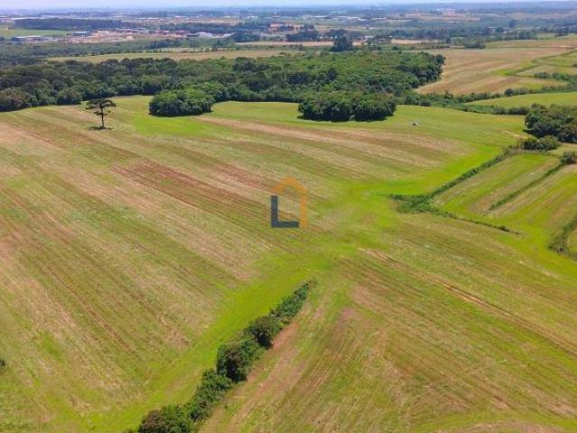 Terreno para venda em São José dos Pinhais de 183689.00m²
