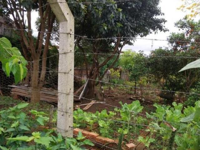 Terreno para Venda em São José dos Pinhais, Iná