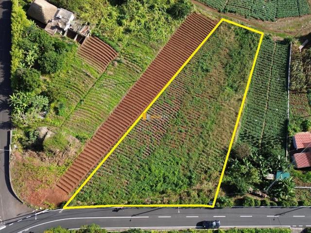Terreno para Venda em São Jorge – Oportunidade Única!