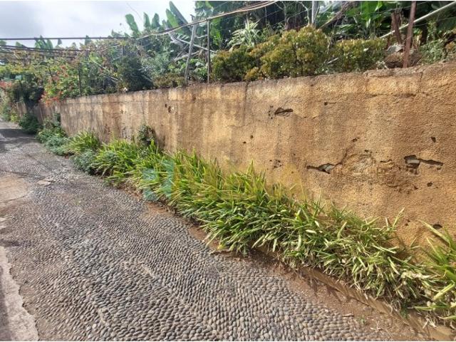 Terreno para venda em São Roque