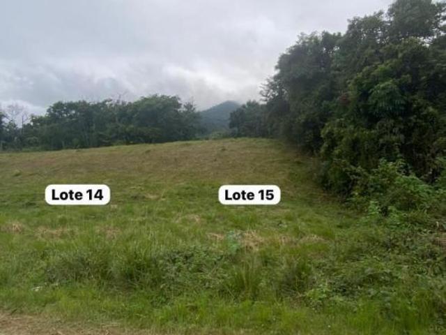 Terreno para Venda em São Sebastião, Jaraguá