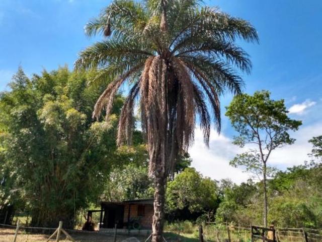 Terreno para venda em São Tiago de 330000.00m²