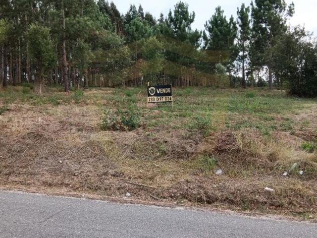 Terreno para venda em Soure 11.000 m² com viabilidade de construção em Casal Barril Soure Coimbra Portugal