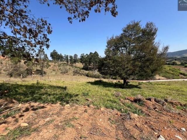 Terreno para Venda em Socorro, ZONA RURAL