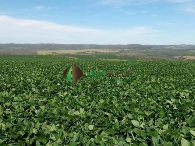 Terreno para venda em Sorriso