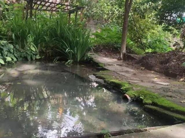 Terreno para venda em Sagrada Família, Belo Horizonte