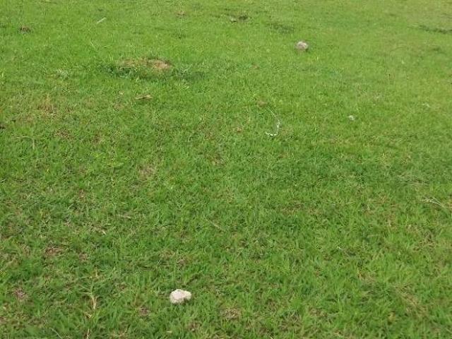 Terreno para venda em Santa Claudina de 5000.00m²