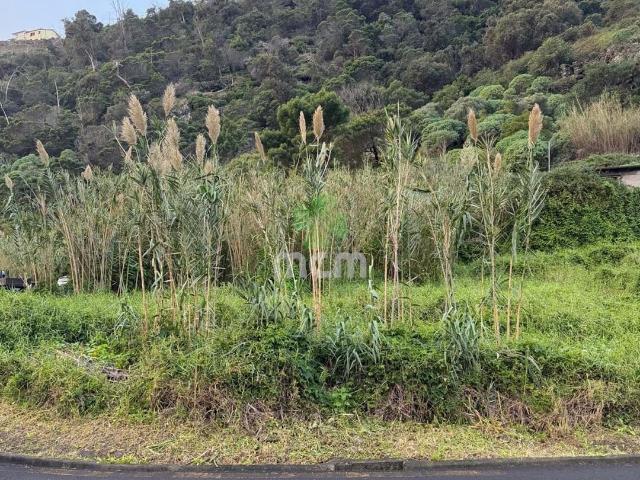 Terreno para venda em Santa Cruz