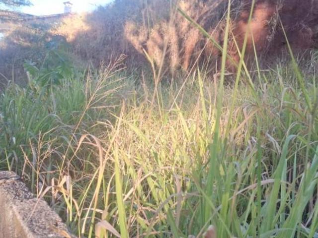 Terreno para venda em Santa Lúcia, Belo Horizonte